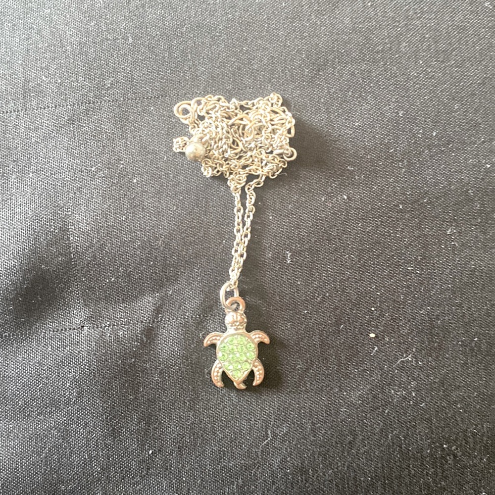 Turtle necklace